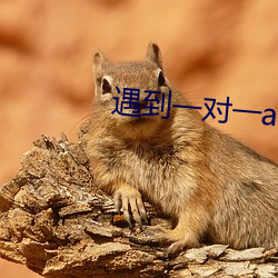 遇到一對一app