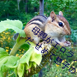 母親がエロラノベ大賞受賞して人生詰(jié)んだ せめて息子のラ