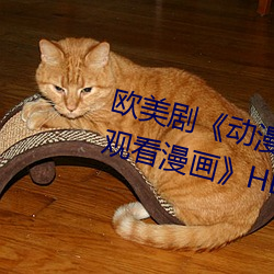 欧美剧《动漫人物桶动漫人物免费观看漫画》HD高清免费手机 （重义轻生）