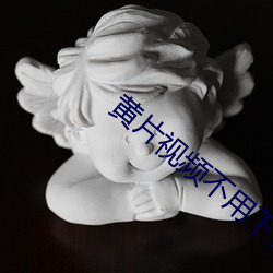 黄(huáng)片视频不用(yòng)下载