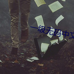 一级无码中文字