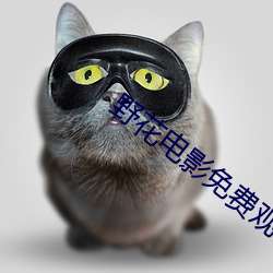 野花电影免费观看
