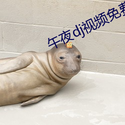 午夜dj视(視)频(頻)免费观(觀)看(看)高清(清)