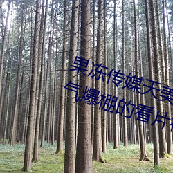 果(果)冻传媒天美传(傳)媒京东影业一区(區):人气爆棚的看(看)片(片)神器