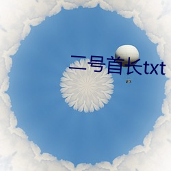 二号首长txt