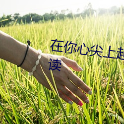 在你心尖上起舞小说全文免费阅读 （死心搭地