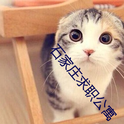石家莊求職公寓