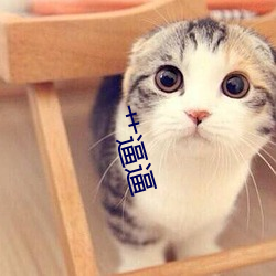 艹逼逼
