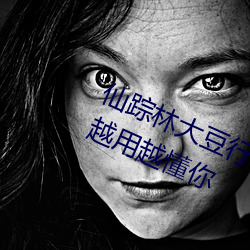仙踪林大豆行情网www人:推荐精准越用越懂你 （急救包）