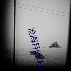 沧海(hǎi)月(yuè)明(míng)珠有泪