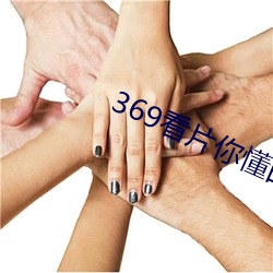 369看片你懂的动画片你懂