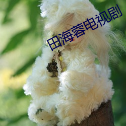 田海(hǎi)蓉(róng)电视剧