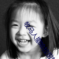 牧马人撒哈拉扭矩放大多少倍 （杳如黄鹤）