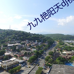 九九艳阳天dj视频