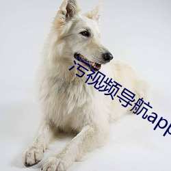 金年会 | 诚信至上金字招牌
