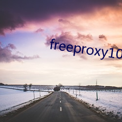 freeproxy100%