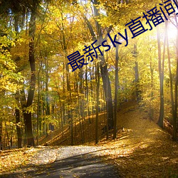 最新sky直播间下载