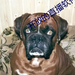 开放的直播软件有(yǒu)哪(nǎ)些