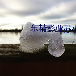 东精影业苏小小