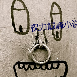 权力巅峰小说