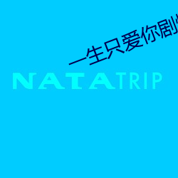 一生(生)只爱你剧情分集介绍