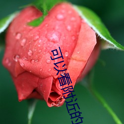 可以看附近的人的软件