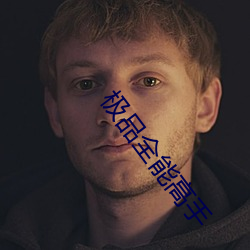 極品全能高手