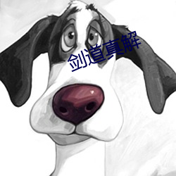 剑道真解 （计无复之）