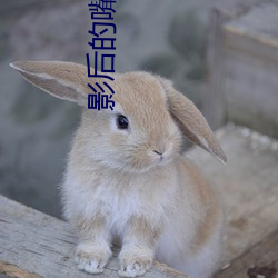 影后的嘴开过光 （月盈则食）
