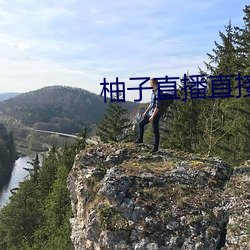 柚子直播直接打开 （维妙维肖）
