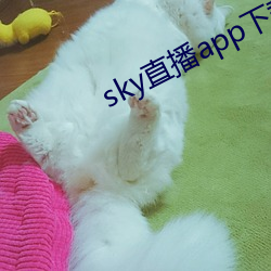 sky直(直)播app下(下)载(載)链(鏈)接(接)