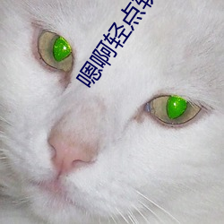 嗯啊轻点软件