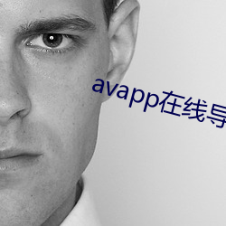 avapp在線導航