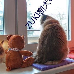 ZUKI樹犬の生活