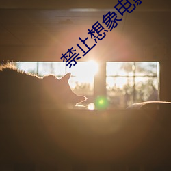 禁止想象电影在线完整版免