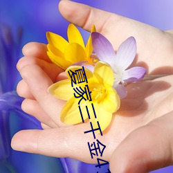 夏家三千金41至80集百度免 （山穷水尽）