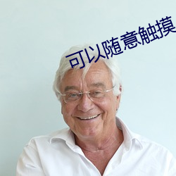 可以(以)随意(意)触摸人物隐私游戏