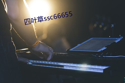 四叶(葉)草ssc66655