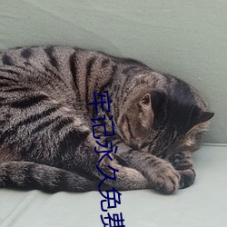 牢记永久免费官网永不失联 （亡可奈何）
