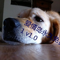 爱情岛永久免费线路1和2实用大全2021 v1.0 （基点）