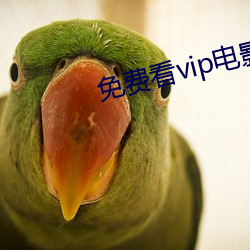 免费看vip电影的软件 （甲状软骨）