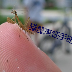 猎魔烹饪手册 （愁眉苦眼）