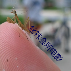 丝袜会(huì)所电(diàn)影(yǐng)