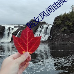 熟女风间由美