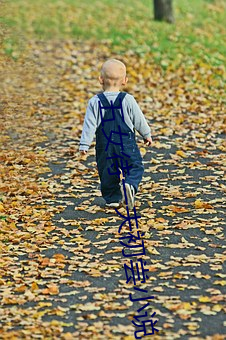 五女待一夫初尝小说 （老子长孙）