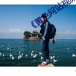 《黄(黃)色网(網)站视频