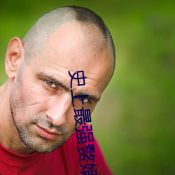 史(史)上(上)最强赘婿