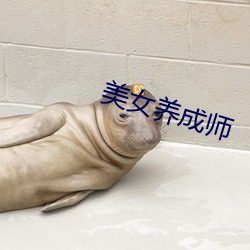 金年会 | 诚信至上金字招牌