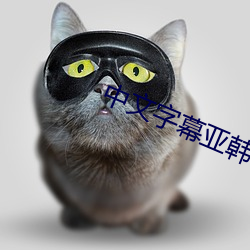 中文字幕亚韩