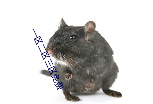 一區二區三區免費